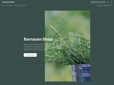 barnazenshop.com snapshot