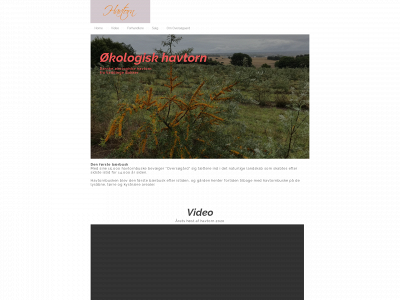 havtorn-oversoegaard.dk snapshot
