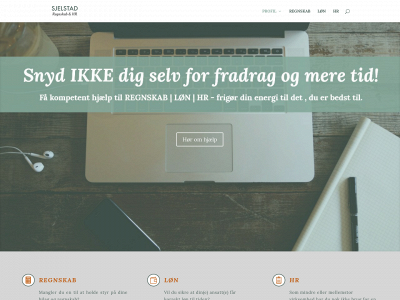 sjelstadregnskab.dk snapshot