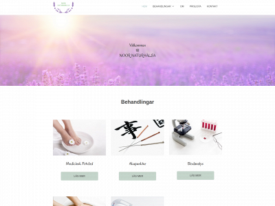 noornaturhalsa.se snapshot