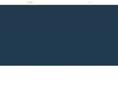 traveleraccent.com snapshot