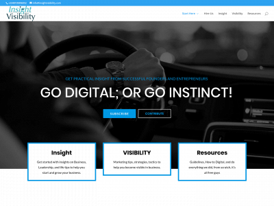 insightvisibility.com snapshot