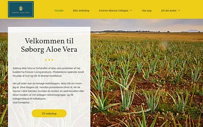 soeborgaloevera.dk snapshot