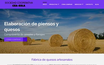 ceaesla.net snapshot