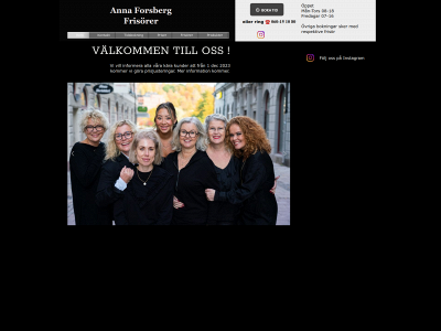 annaforsbergfrisorer.se snapshot