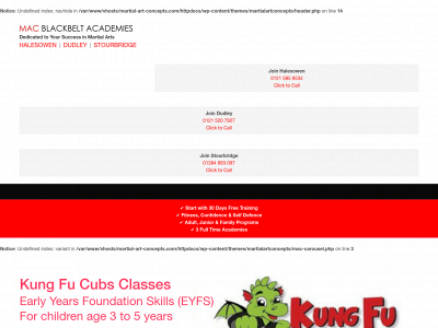 martial-art-concepts.com snapshot