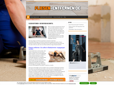 fliesen-entfernen.de snapshot