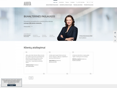 audita.lt snapshot