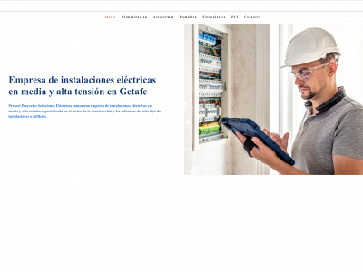 prosoel.com snapshot