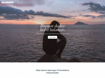 blume.works snapshot