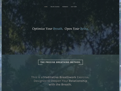 precisebreathing.com snapshot
