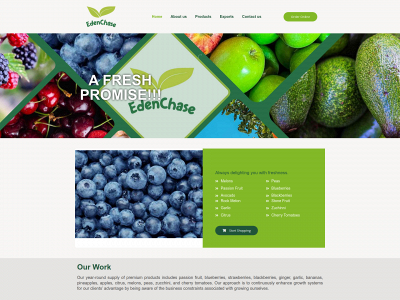 edenchaseltd.com snapshot