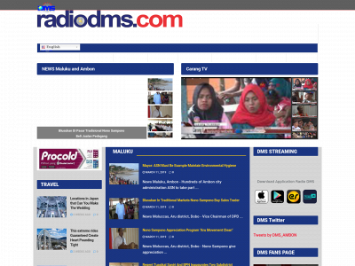www.radiodms.com snapshot