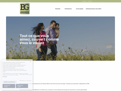 bgassurances.be snapshot