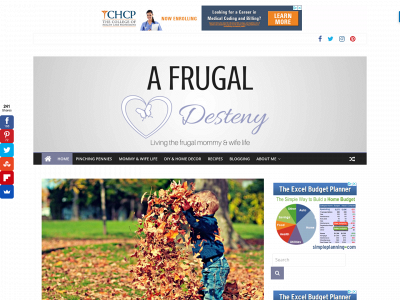 afrugaldesteny.com snapshot