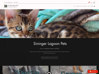 siningerlagoonpets.com snapshot
