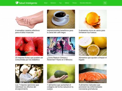 saludinteligente.info snapshot