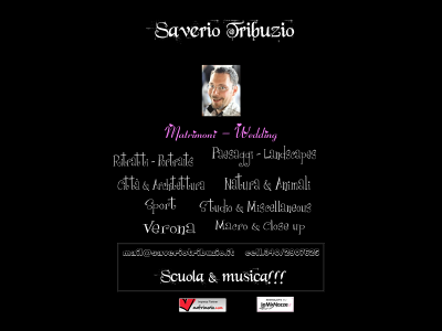 saveriotribuzio.it snapshot