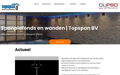 topspan.nl snapshot