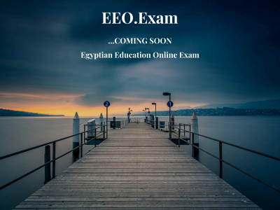 eeoexam.com snapshot