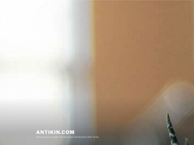 antikin.com snapshot