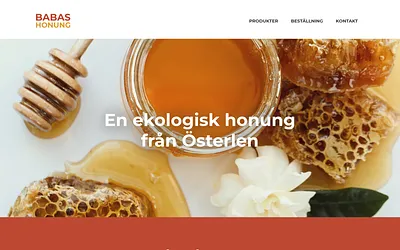 babashonung.se snapshot