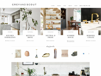 greyandscout.com snapshot