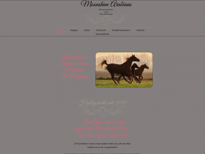 moonshine-arabians.de snapshot