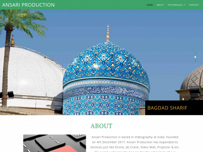ansariproduction.co.in snapshot