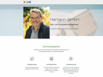 hamanngmbh.de snapshot