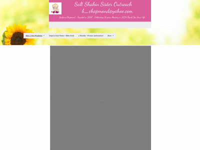 saltshakinsister.com snapshot