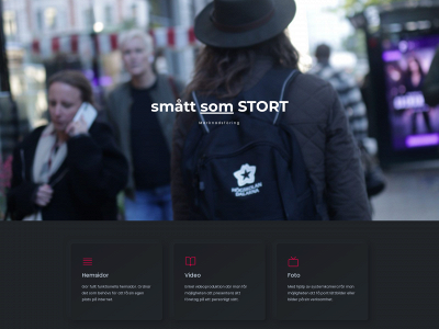 smattsomstort.se snapshot
