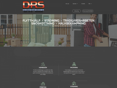 drsab.se snapshot