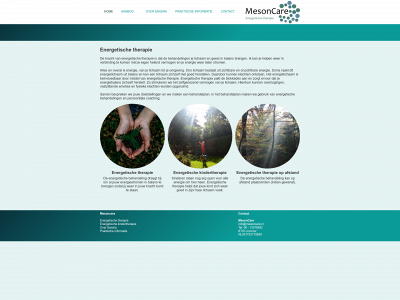 mesoncare.nl snapshot
