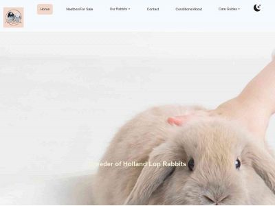 cloudsandcarrots.com snapshot