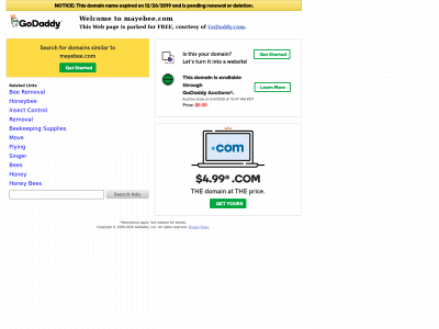 mayebee.com snapshot