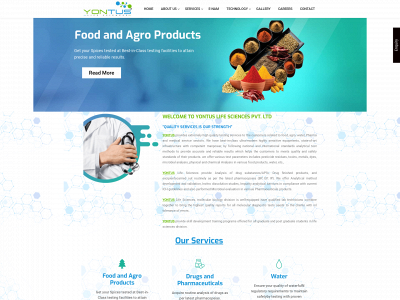 yontus.com snapshot