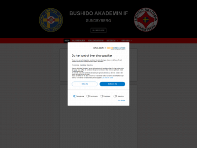 bushidoakademin.se snapshot