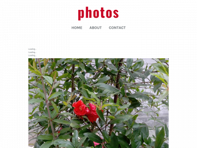 funphotographer.weebly.com snapshot
