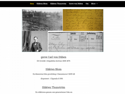 slaekthistoria-dueben-blom-thunstroem.se snapshot