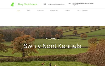 swnynantkennels.co.uk snapshot