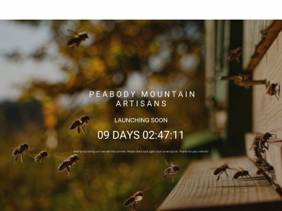 pmartisans.com snapshot