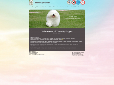 teamsgtpepper.dk snapshot