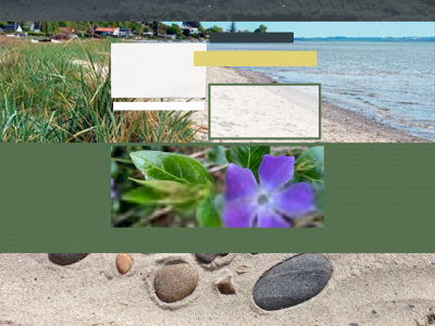 skaeringfaellesraad.dk snapshot