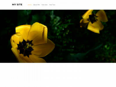 cmpgemmacaiger.weebly.com snapshot