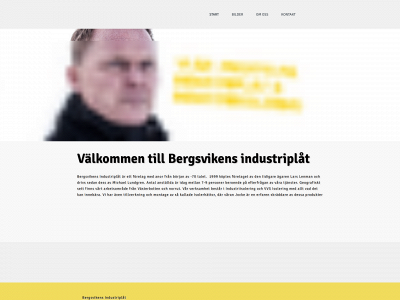 bergsvikensindustriplat.com snapshot