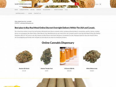 saintjohnganja.com snapshot