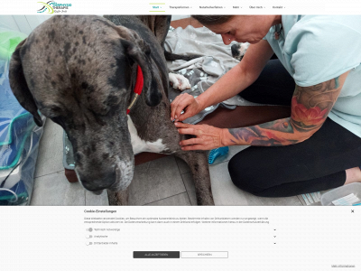 tierphysiotherapie-jeude.de snapshot