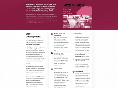 larysadigital.com snapshot
