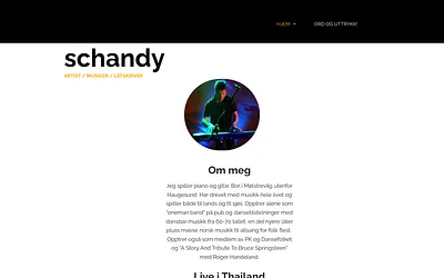 schandy.info snapshot